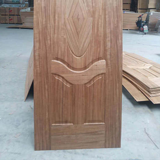 Door Skin