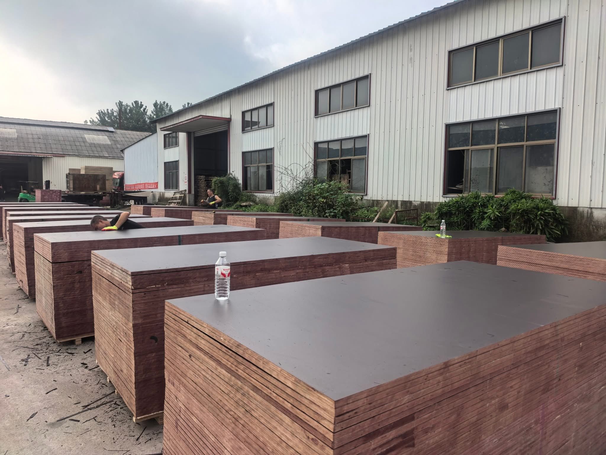 Film Face Shuttering Plywood