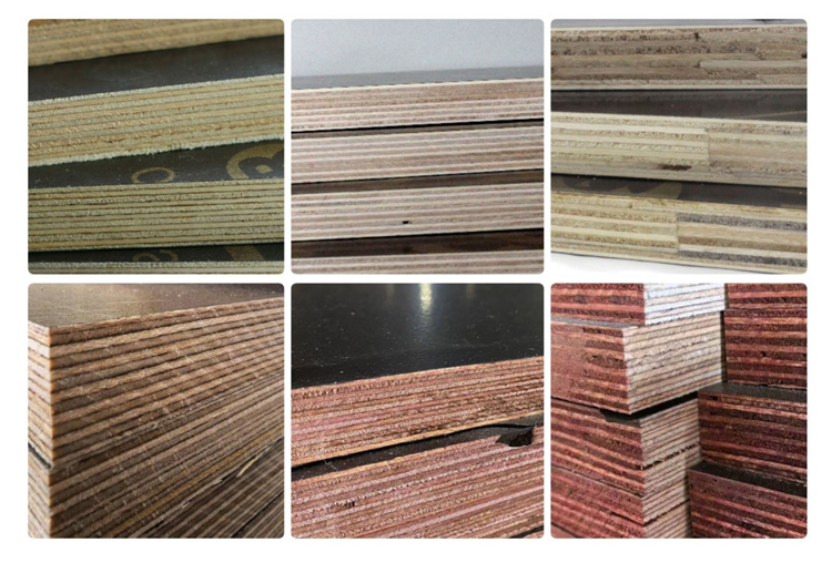 Film Face Shuttering Plywood