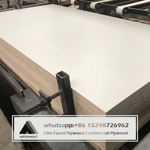 Formwork Plywood for construction site