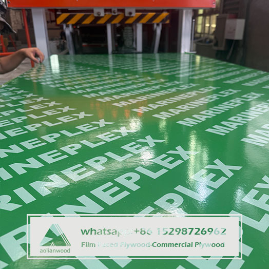 Plastic Faced Plywood