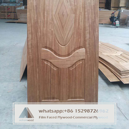 Door Skin