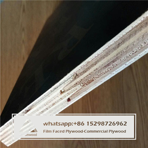  Finger Joint core film faced plywood