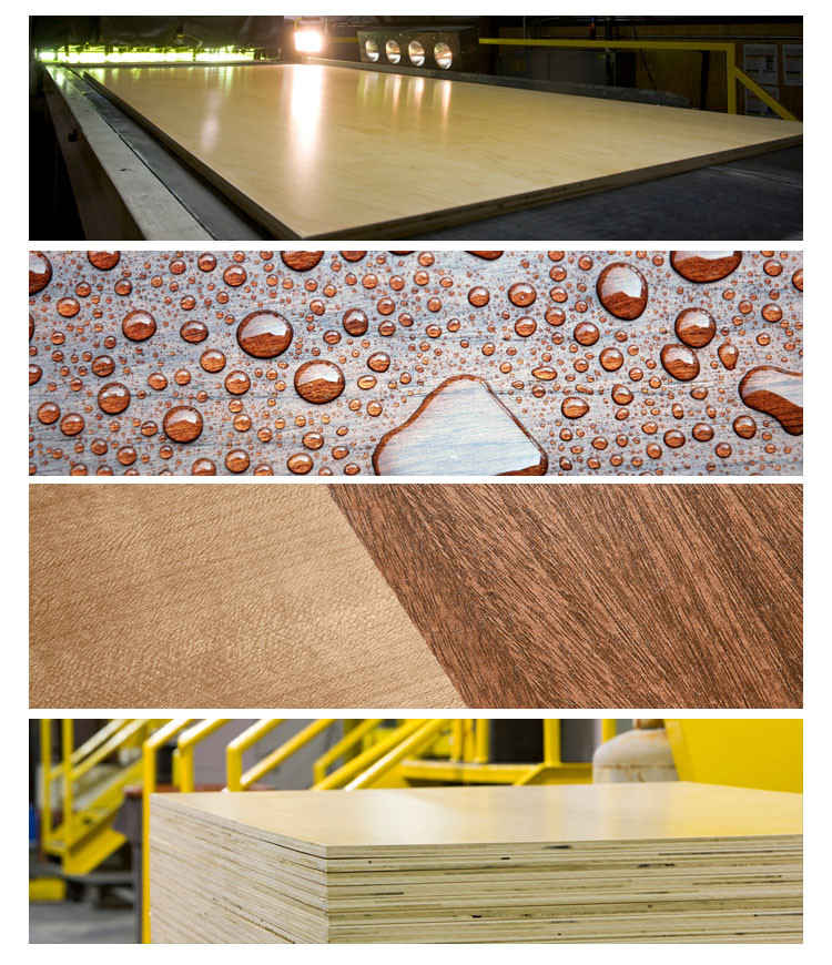 UV coating Plywood