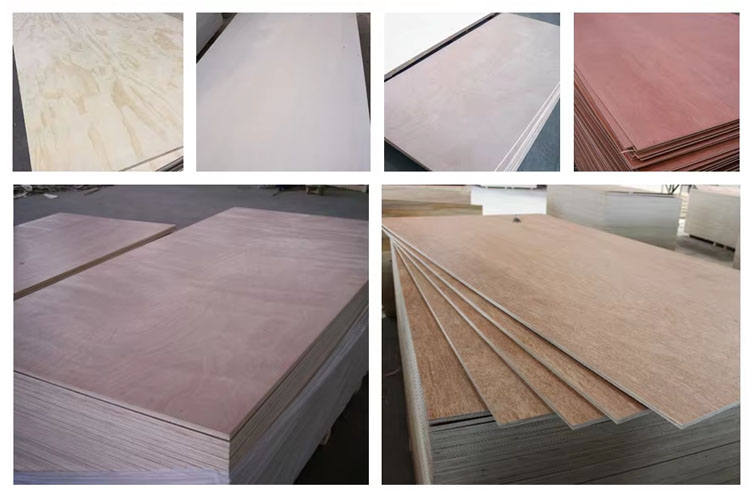 Bingtangor faced Commercial Plywood